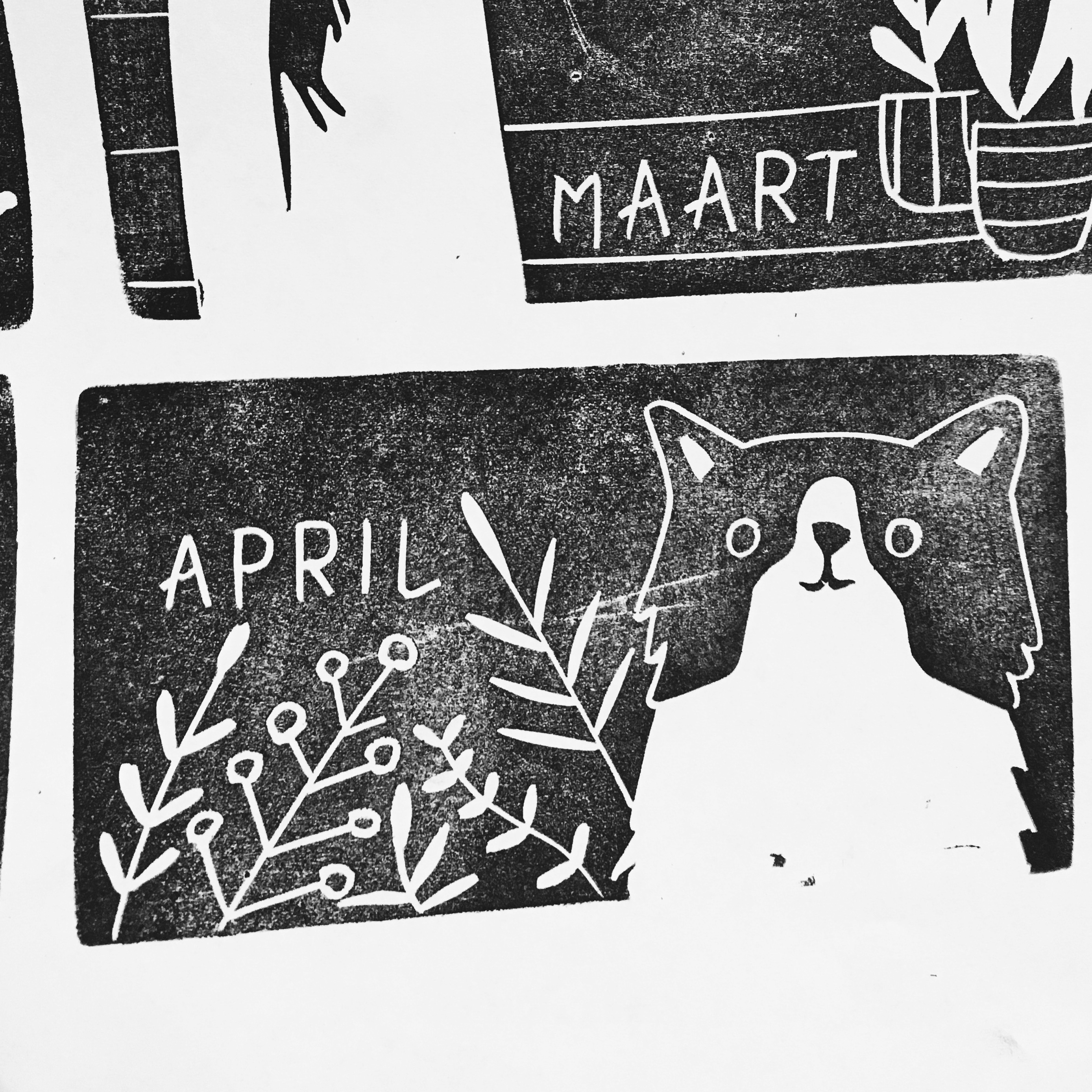 cat-calendar-studio-malu
